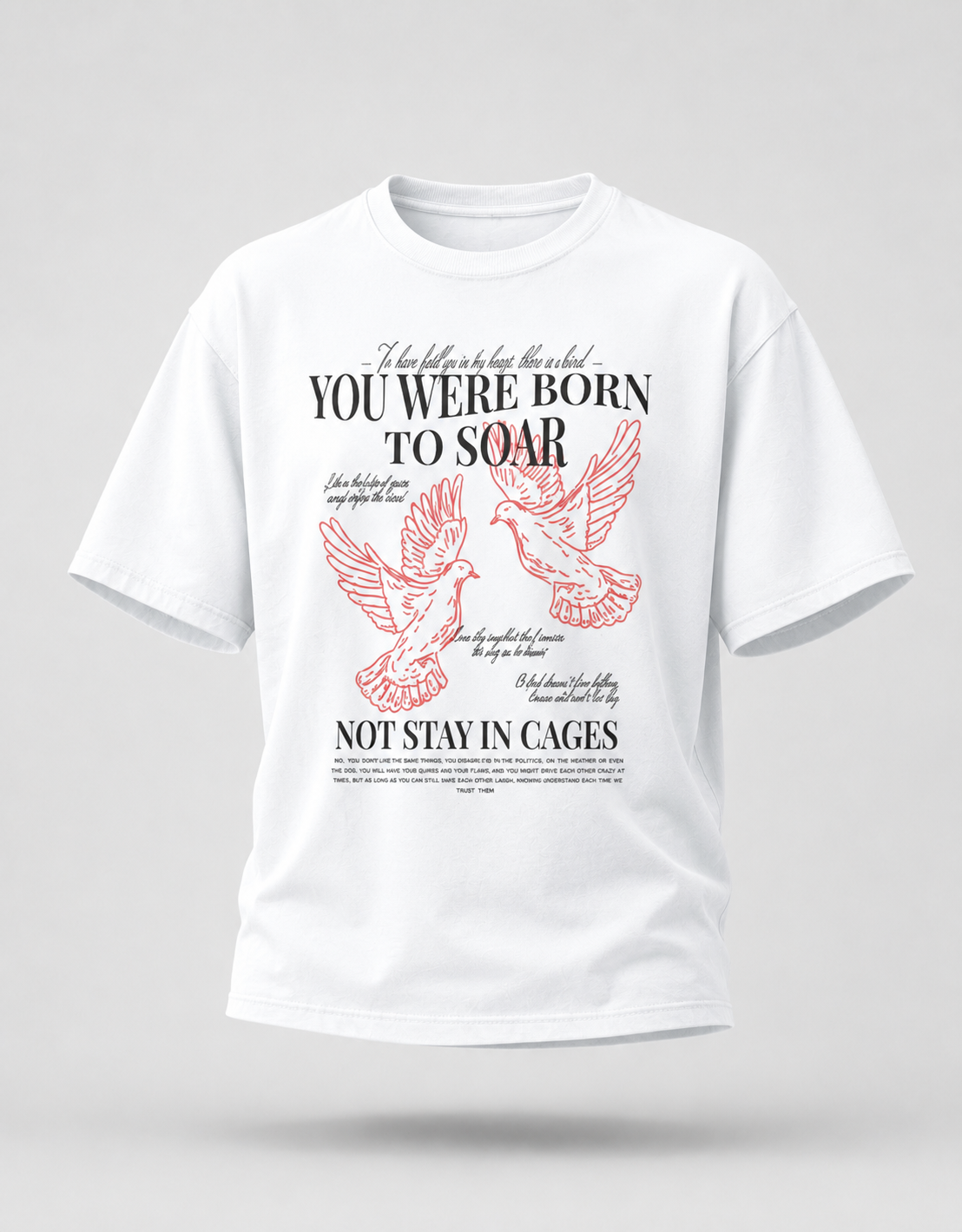 You were Born to Soar Unisex Oversized T-Shirt