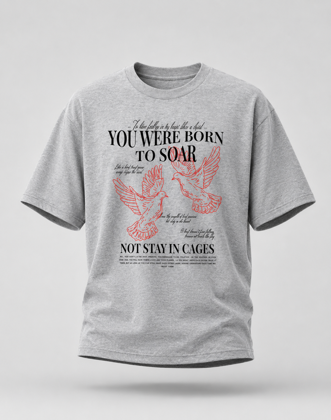 You were Born to Soar Unisex Oversized T-Shirt